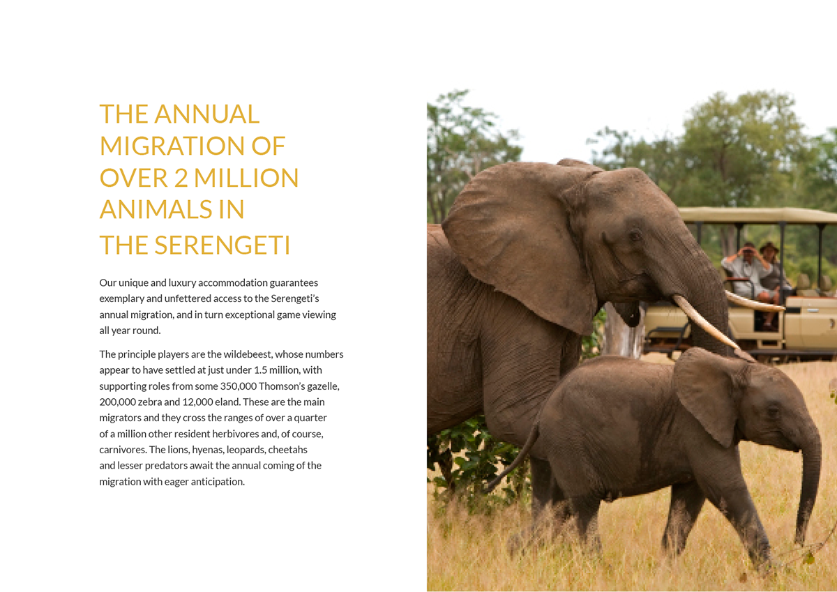 africa luxury Holiday company safari Tanzania brochure Landscape serengeti east south