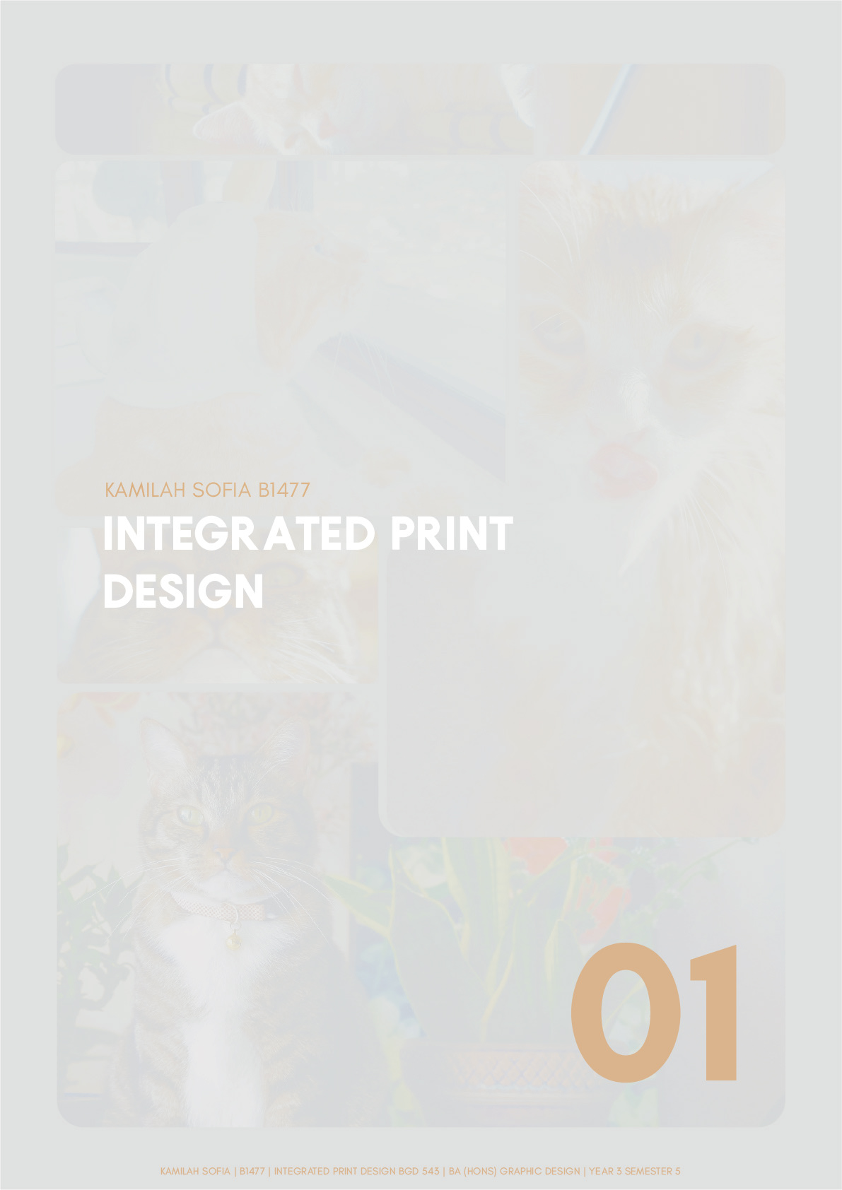 content editorial editorial design  lifestyle masthead masthead design presentation presentationboard print publication