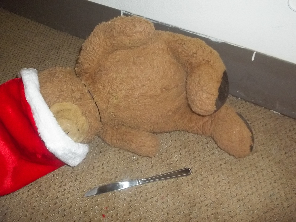 teddy bear suicide death bored