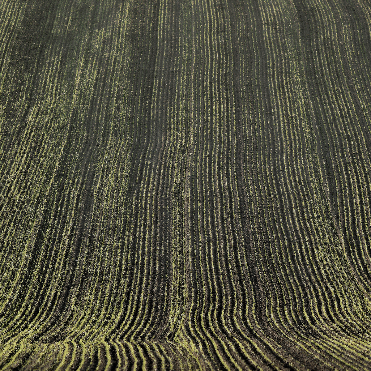 field texture lines rhythm Nature Landscape color