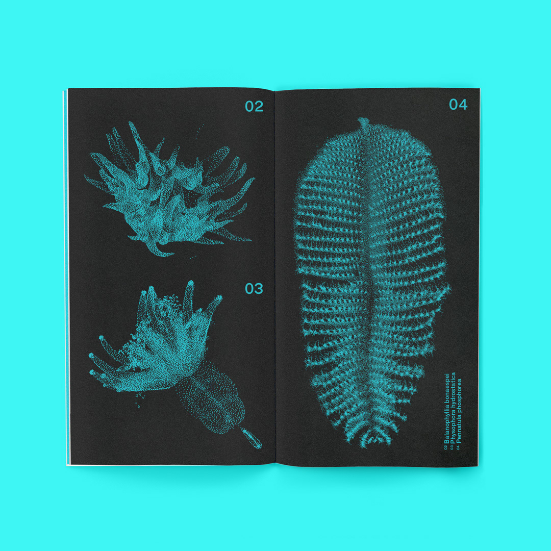 blue editorial series fabbri editore graphic design  ILLUSTRATION  Nature science sea life stickers vintage