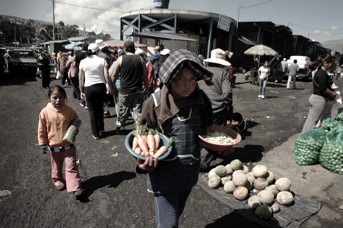 Mercados Mercado Mayorista Migracioes