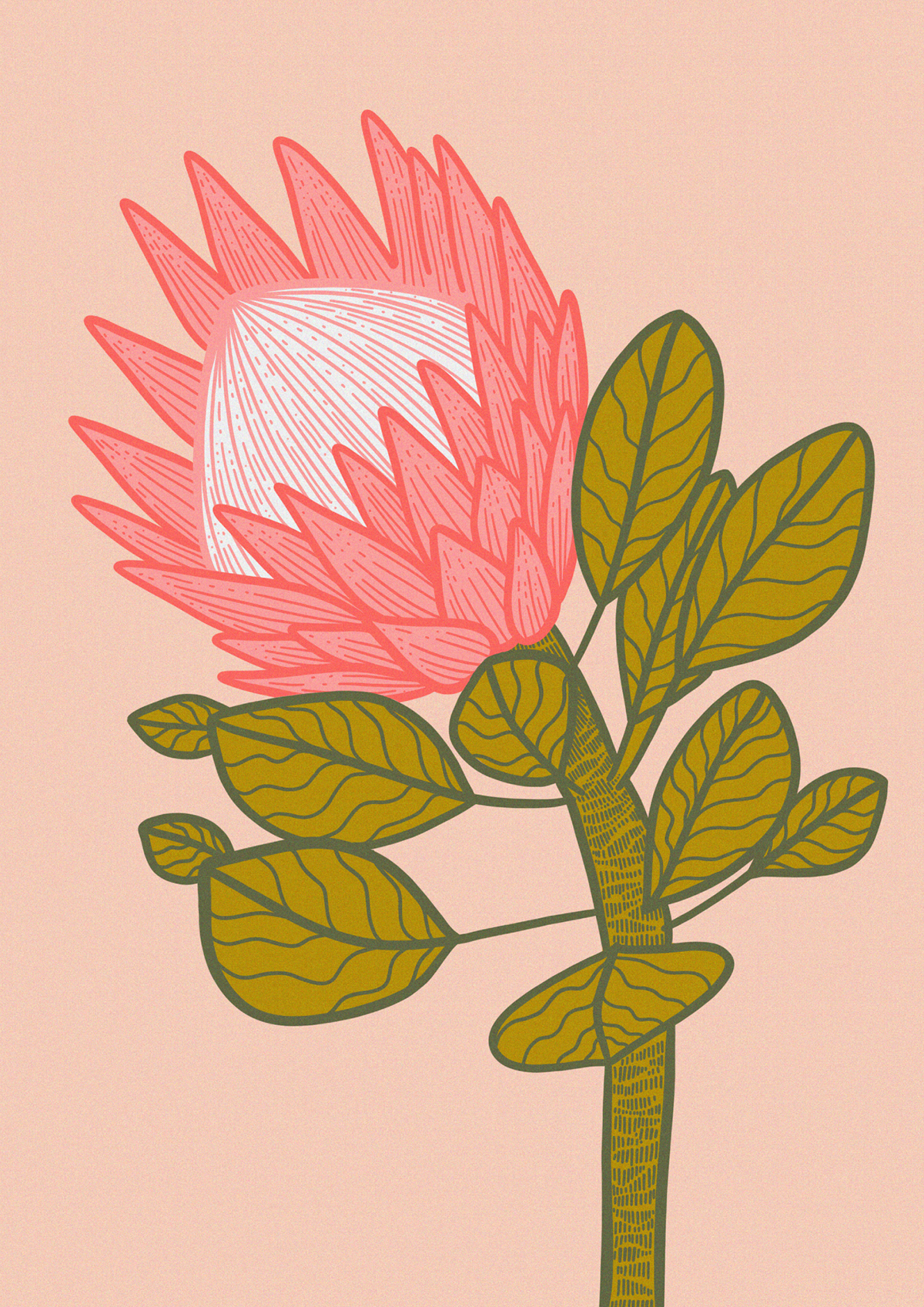 Flowers plants Flores plantas colors Drawing  ILLUSTRATION  doodle desenho illustração