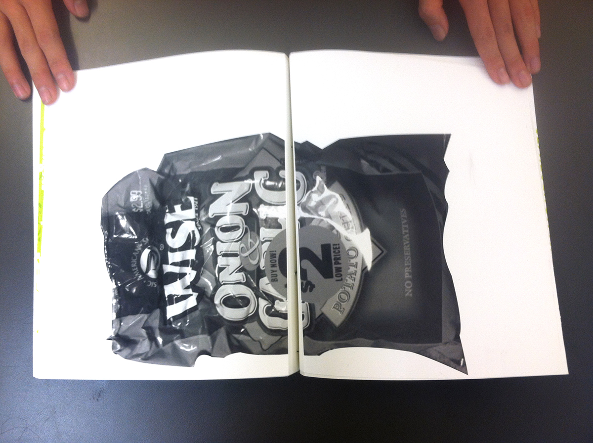french fold book book  salt Student work