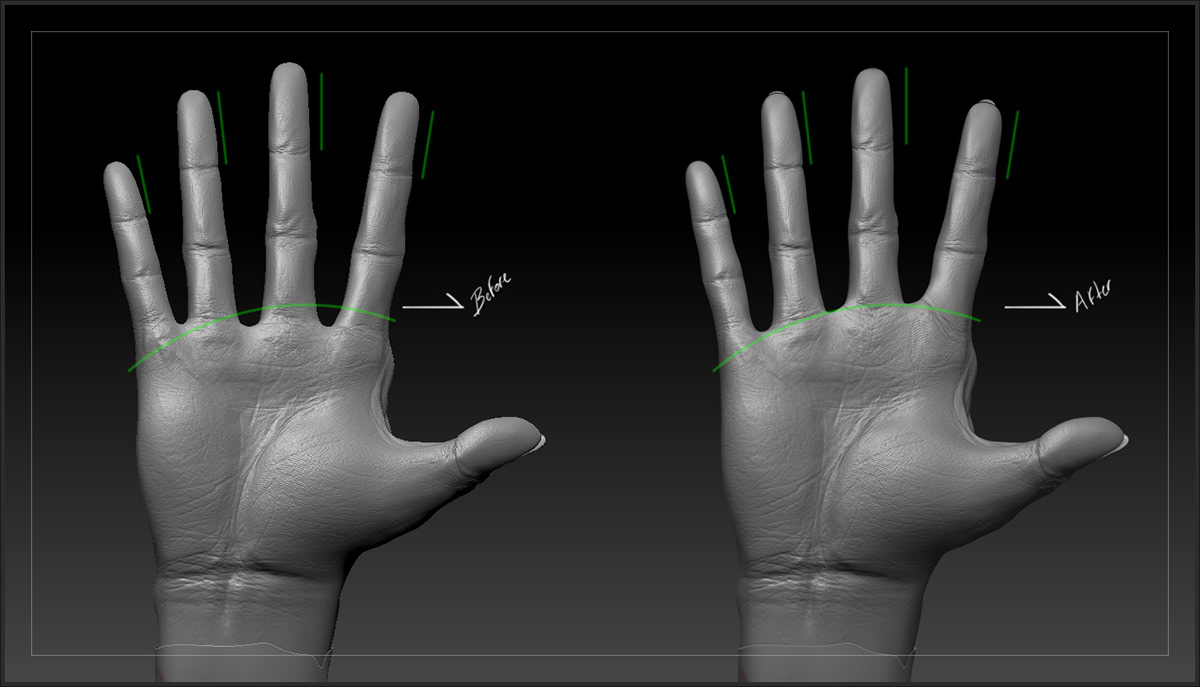 Sculpt hand digital art 3D Zbrush study matias molero
