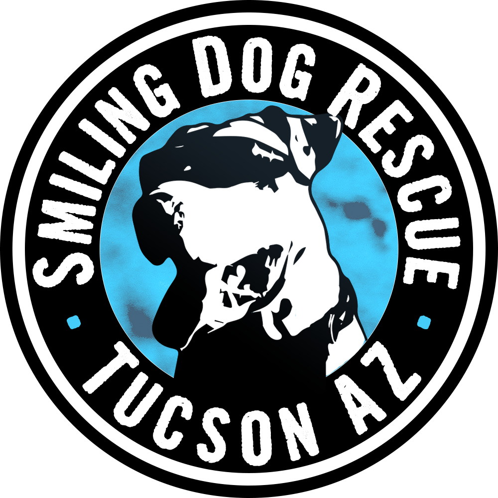 Animal Rescue Website pit bull rescue dog logo design
