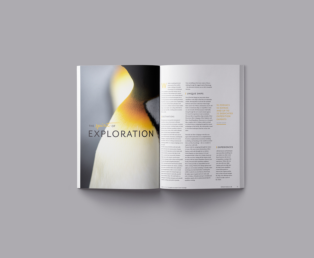 Adobe Portfolio magazine brochure print Mockup template luxury typography   logo