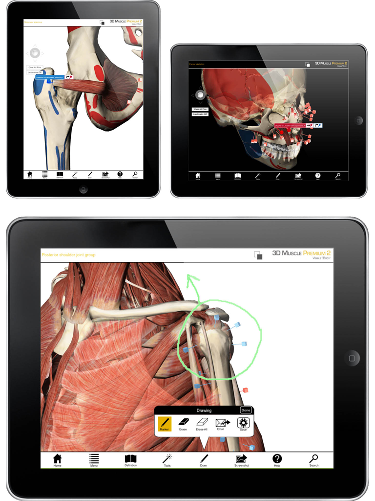 unity3D Visible Body ios Objective-C iPad
