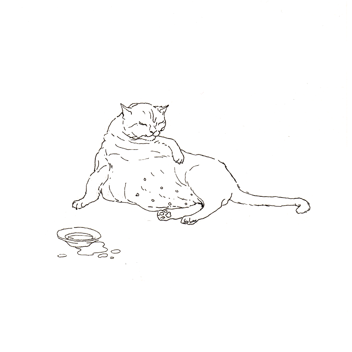 Cat animal life cartoon Drawing  illustrations my cat sketch