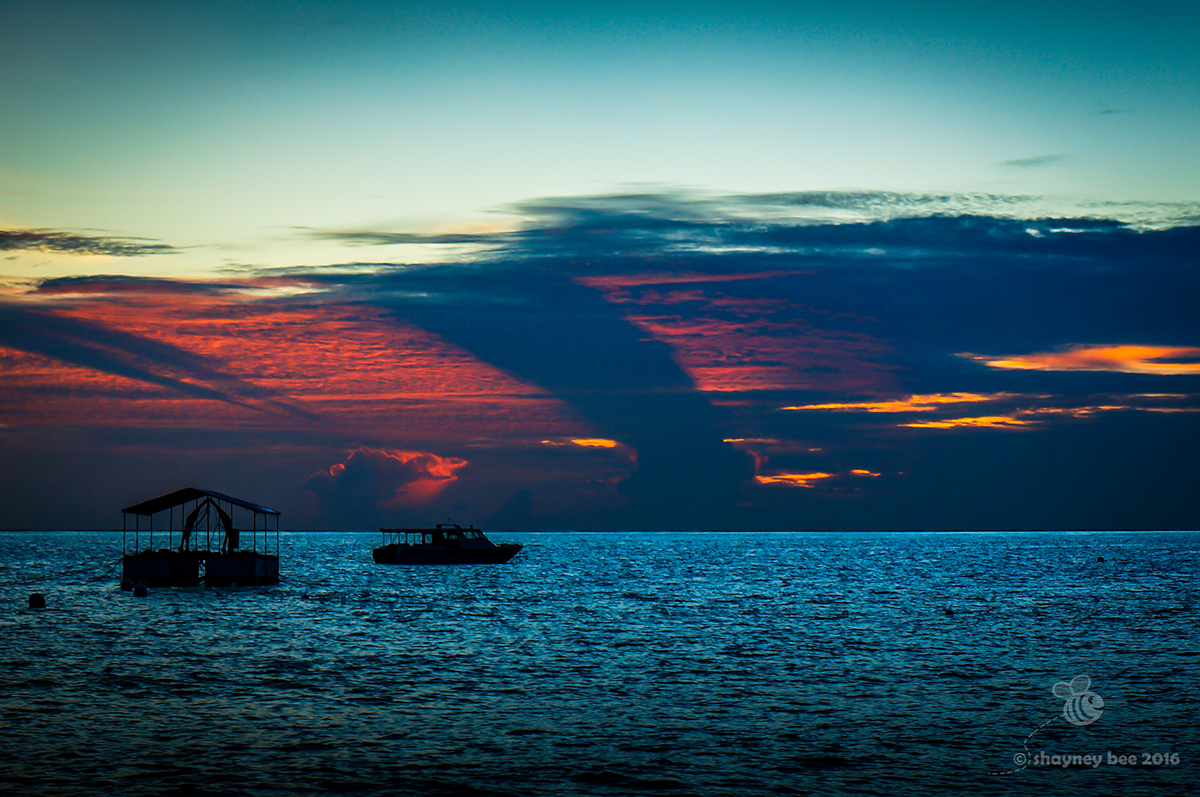 Adobe Portfolio sunset Sunrise shayne newquay sydney egypt Maldives Sun reflection paradise