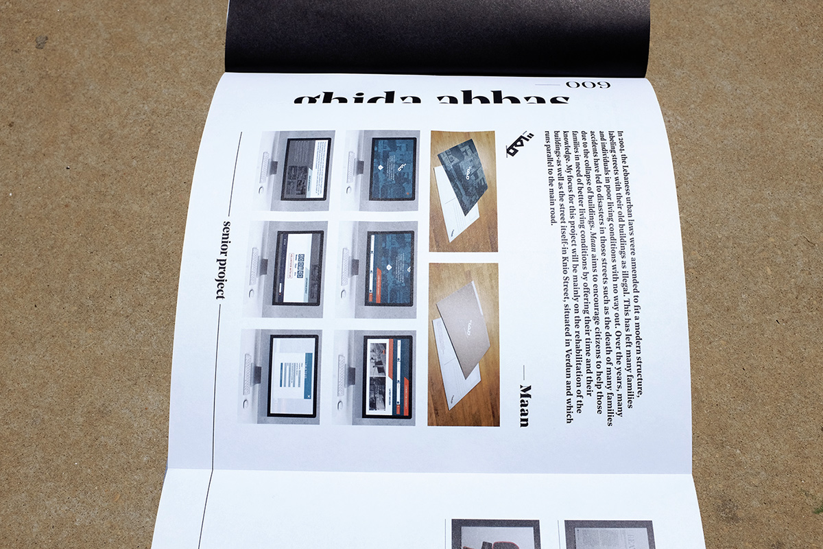 Adobe Portfolio art direction  publication supervision