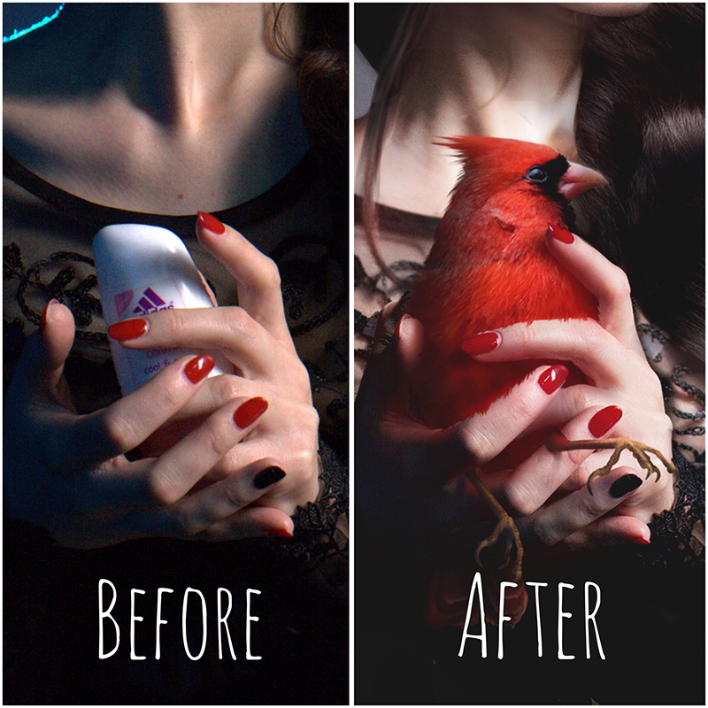 collage photoshop pgotoart cardinal birds crows girl red dress cardinal bird