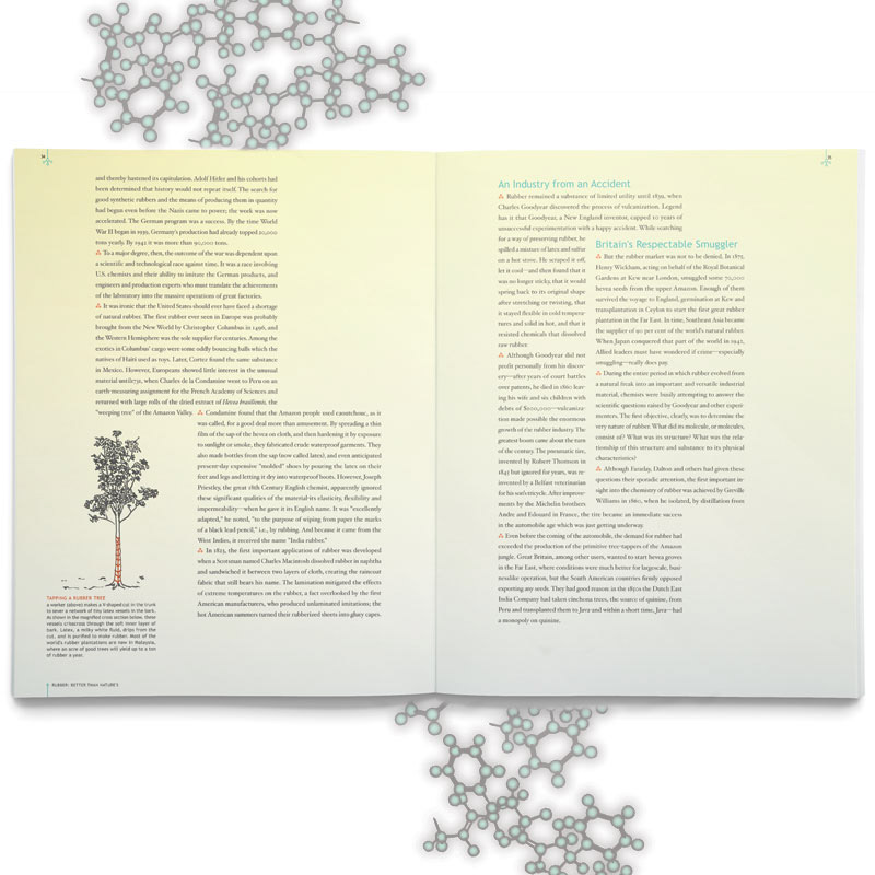 giant molecules chemistry Book Re-Design TIMELIFE grids typesetting