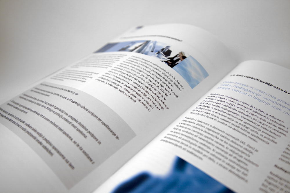 brochure  print  design  project  EU  blue