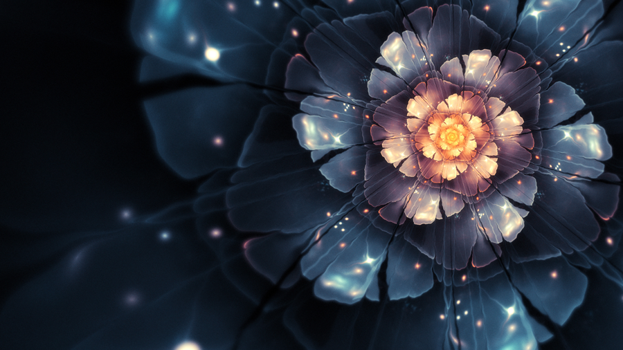 apophysis fractal flame flower digital art