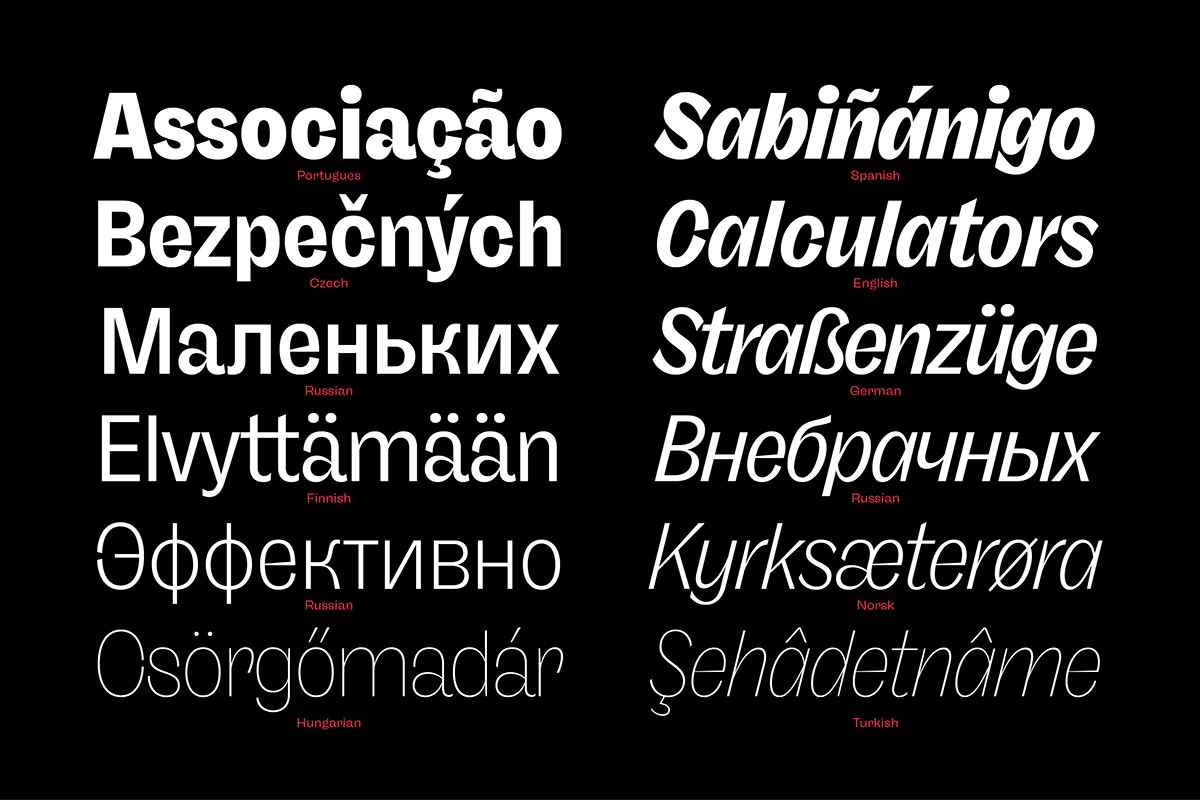 branding  family font grotesk logo