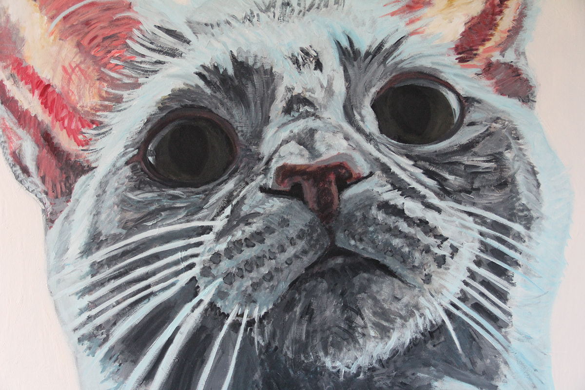 sam Cat acrylic canvas meow Pet portrait White