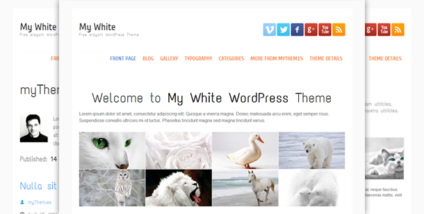 business Clean WordPress Theme corporate Custom features elegant theme Free Template free wordpress theme minimalist white theme wordpress