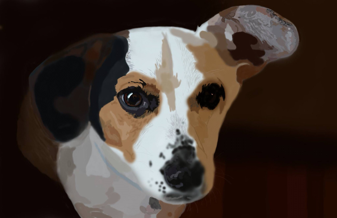 digital painting   digital painting class assignment Project dog adobe photoshop brushes layers
