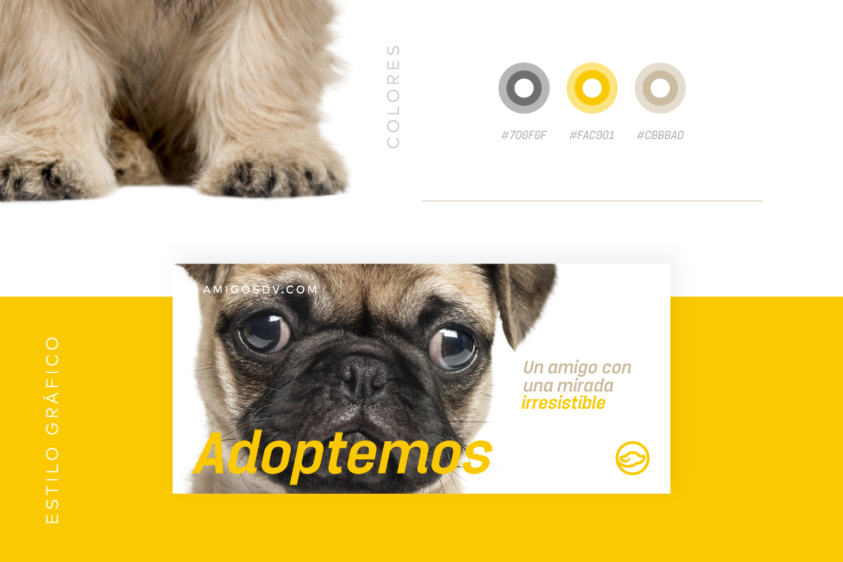 branding  Icon Logotype dog fundacion perros Guatemala