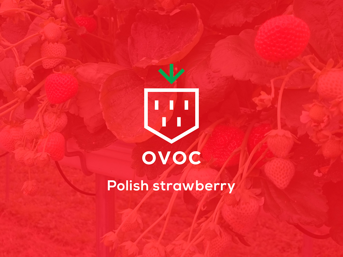 Fruit strawberry farm modern arrow minimal