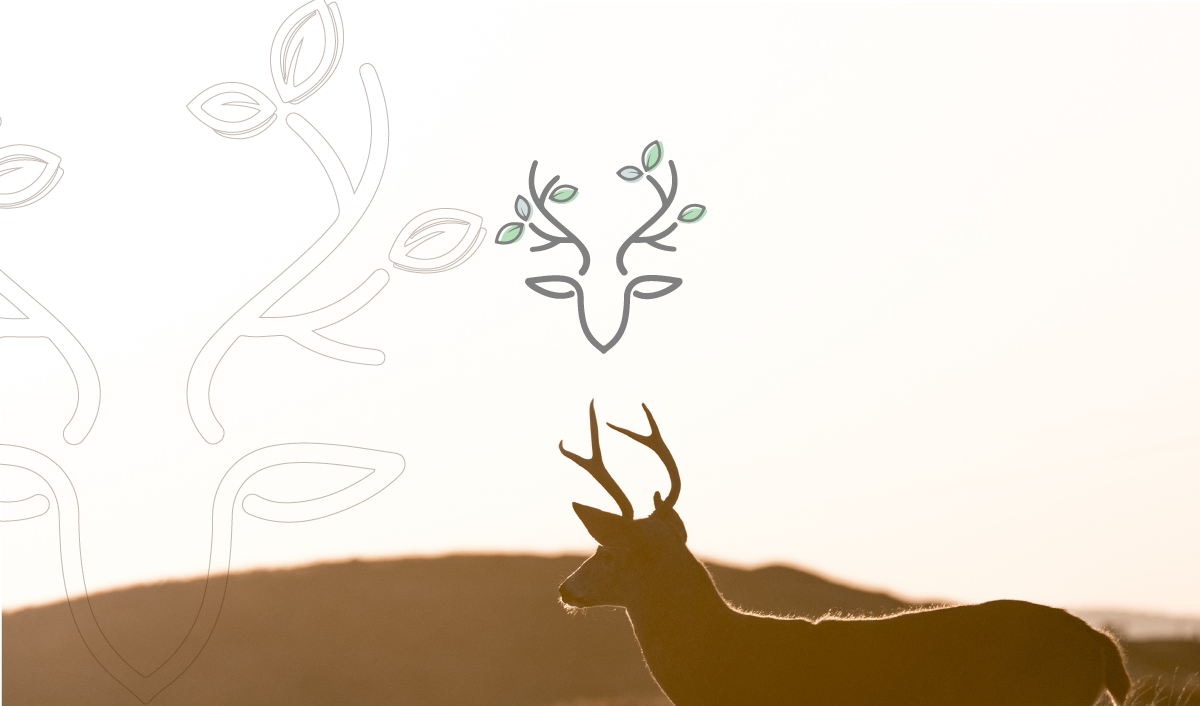 deer animal simple logo creaive Nature Tree  arabe arabic brand