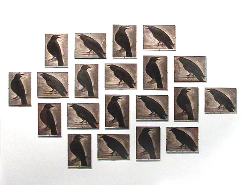 crows  ravens print etching woodcut fine art