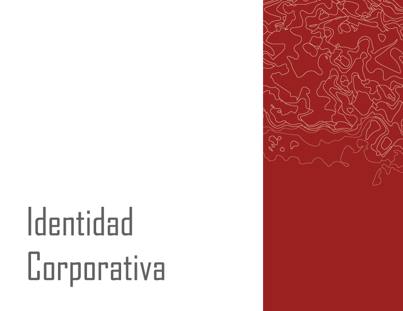 branding  Identidad Corporativa identidade visual Logotype
