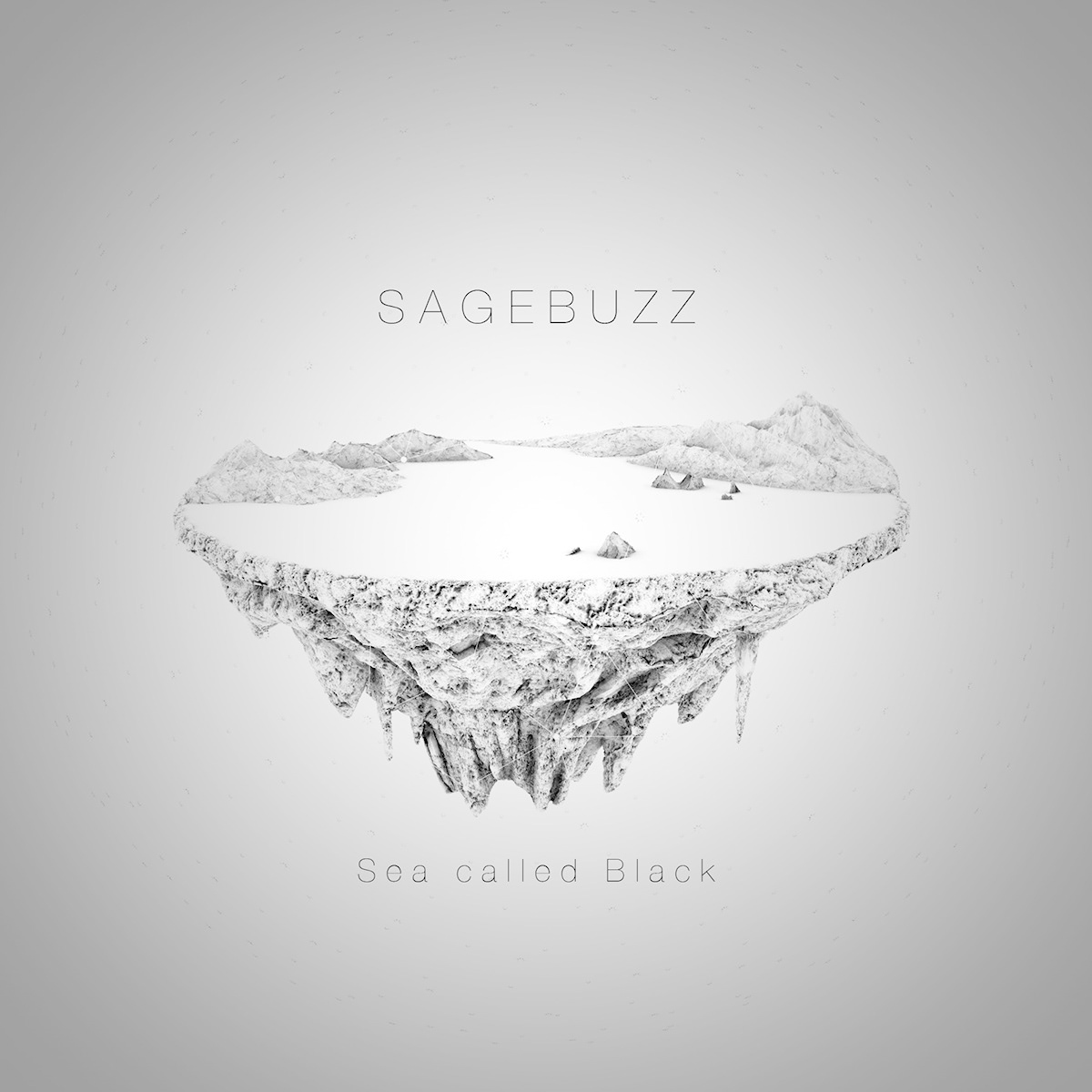 sagebuzz  CD cover cover grunge rock