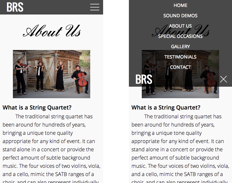 Website parallax scroll animated transitions smooth elegant quartet strings instruments