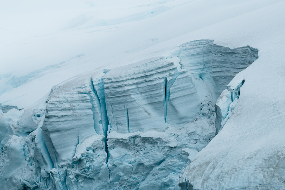 antarctica glacier ice Landscape Ocean sailing ship snow wildlife winter