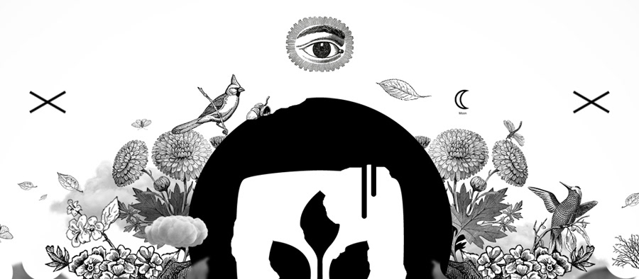 desktopography wallpaper bird aves photomanipulation blackandwhite design artwork graphic art