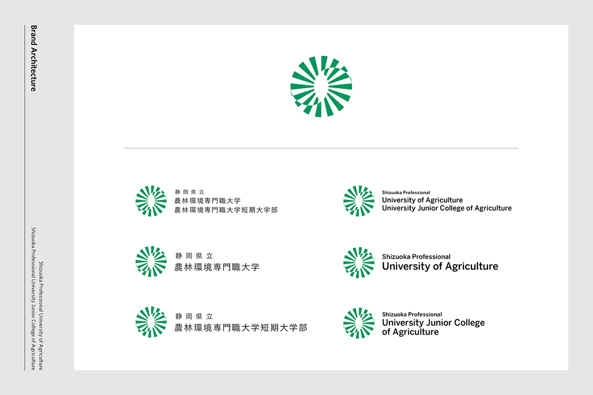 branding  Education logo logodesign symbol University visual identity system logos school visual identity
