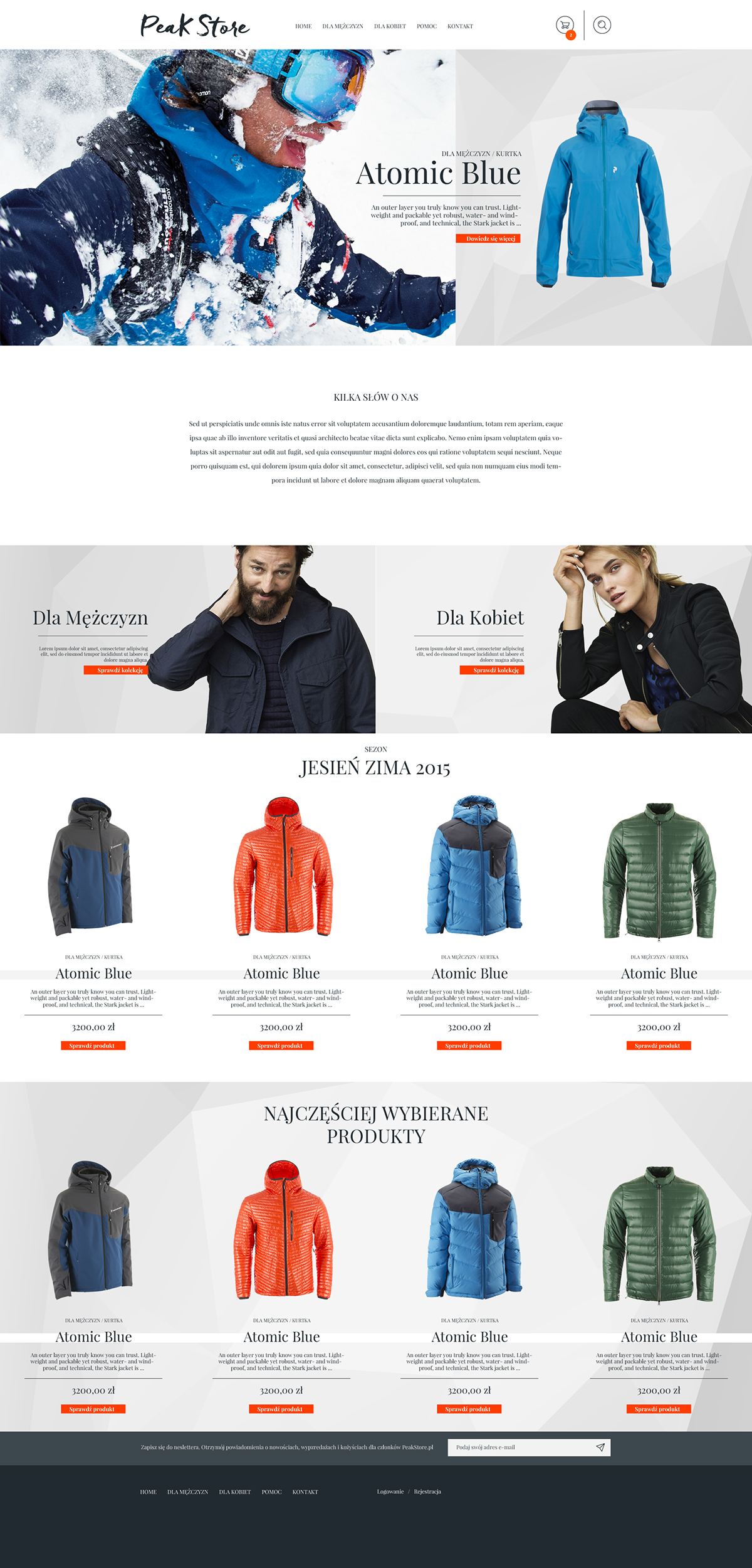 Ski skiing shop Web design Website snow winter