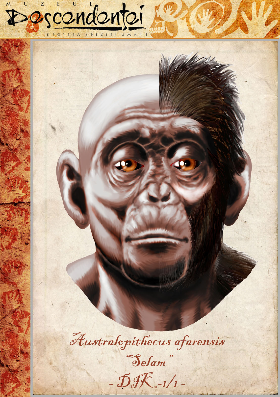 australopithecus afarensis selam dikika human evolution homo hominid sahelanthropus ardipithecus paranthropus habilis erectus ergaster floresiensis