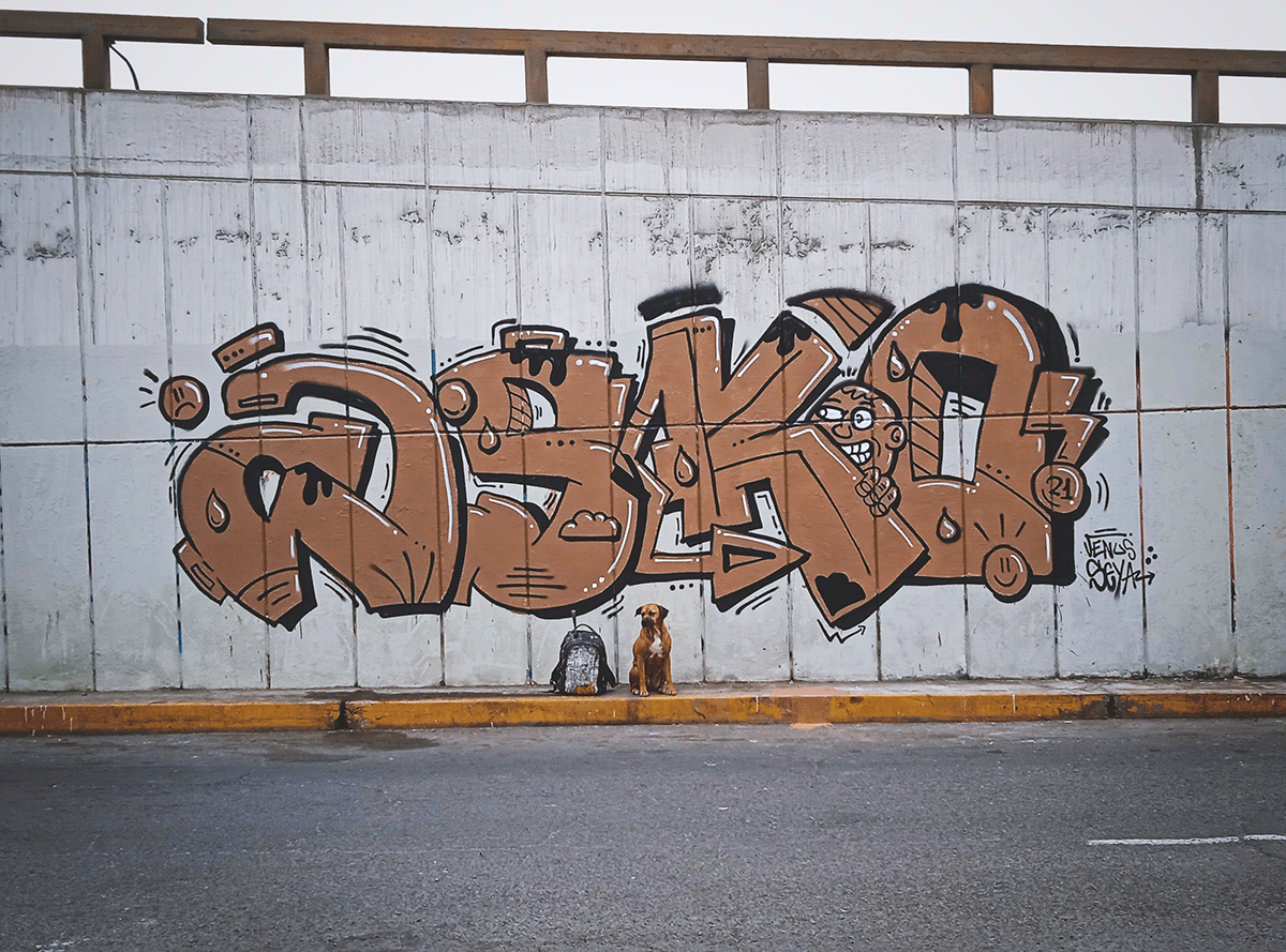 asko Character graff Graffiti peru Street Street Art 
