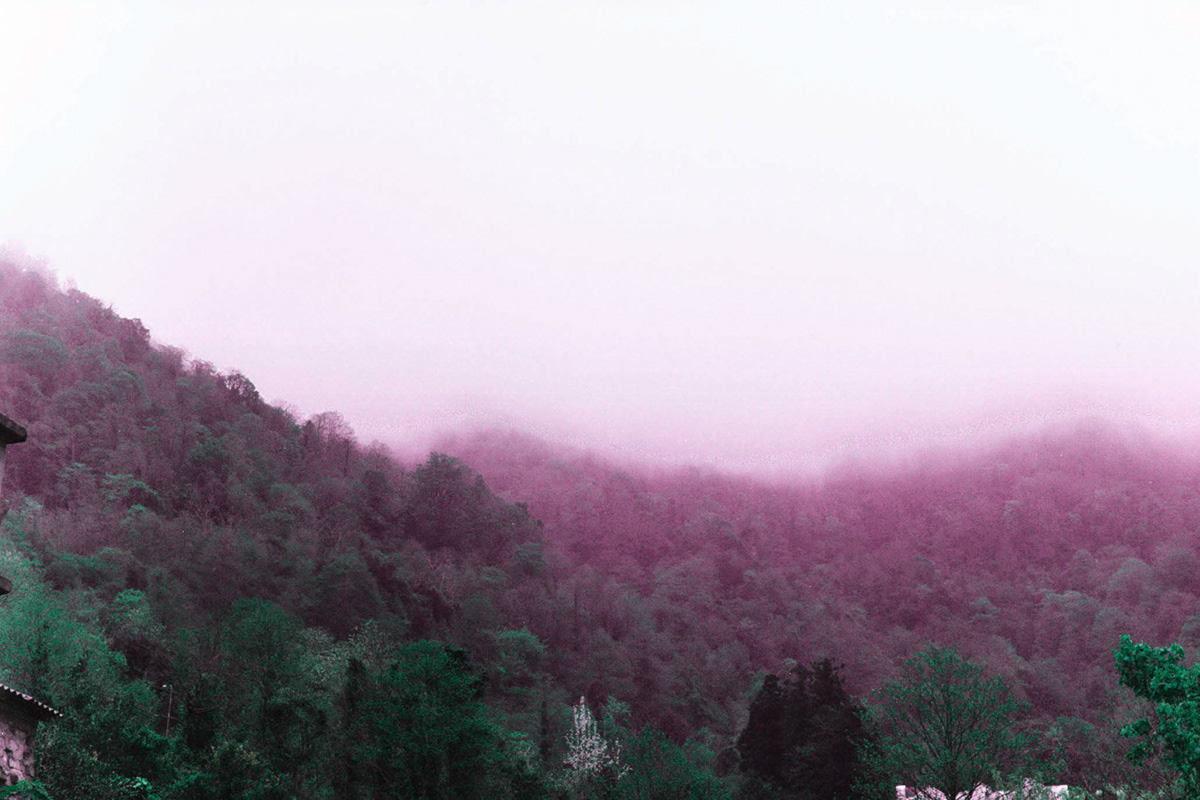 analog Film   Landscape Nature psychedelic surreal mountains trees tamar burduli sea