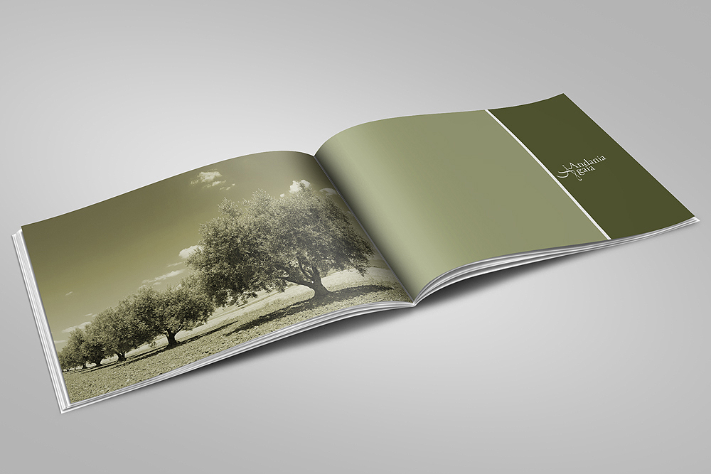 brochure catalog Landscape multipage olive oil