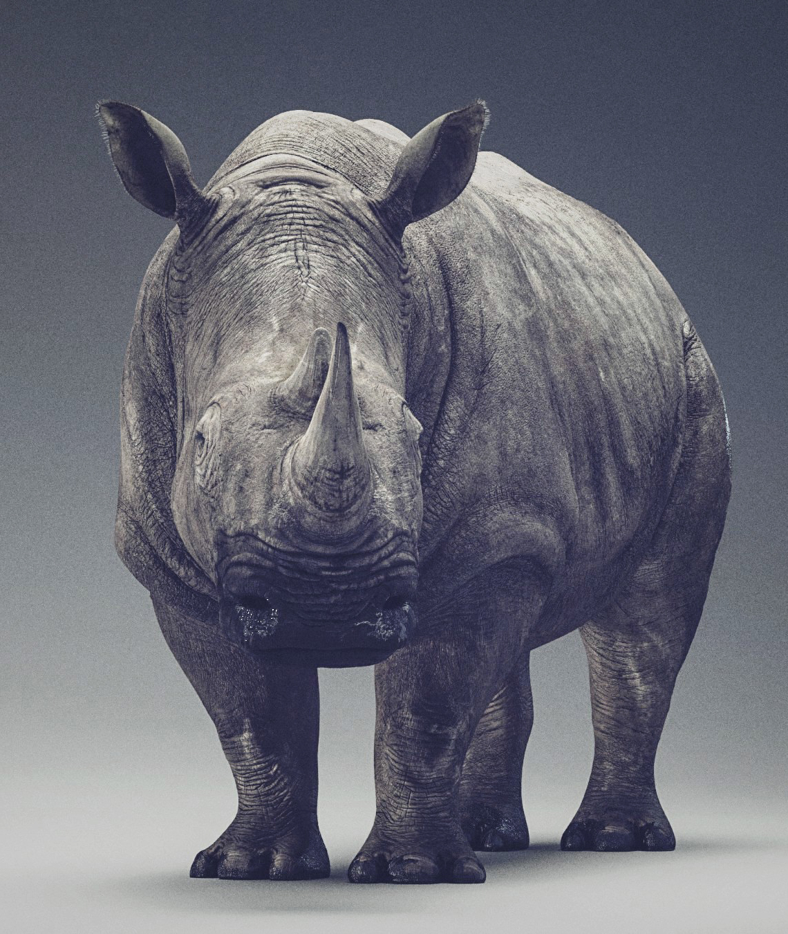Rhino Rhinoceros 3D digital tutorial animal