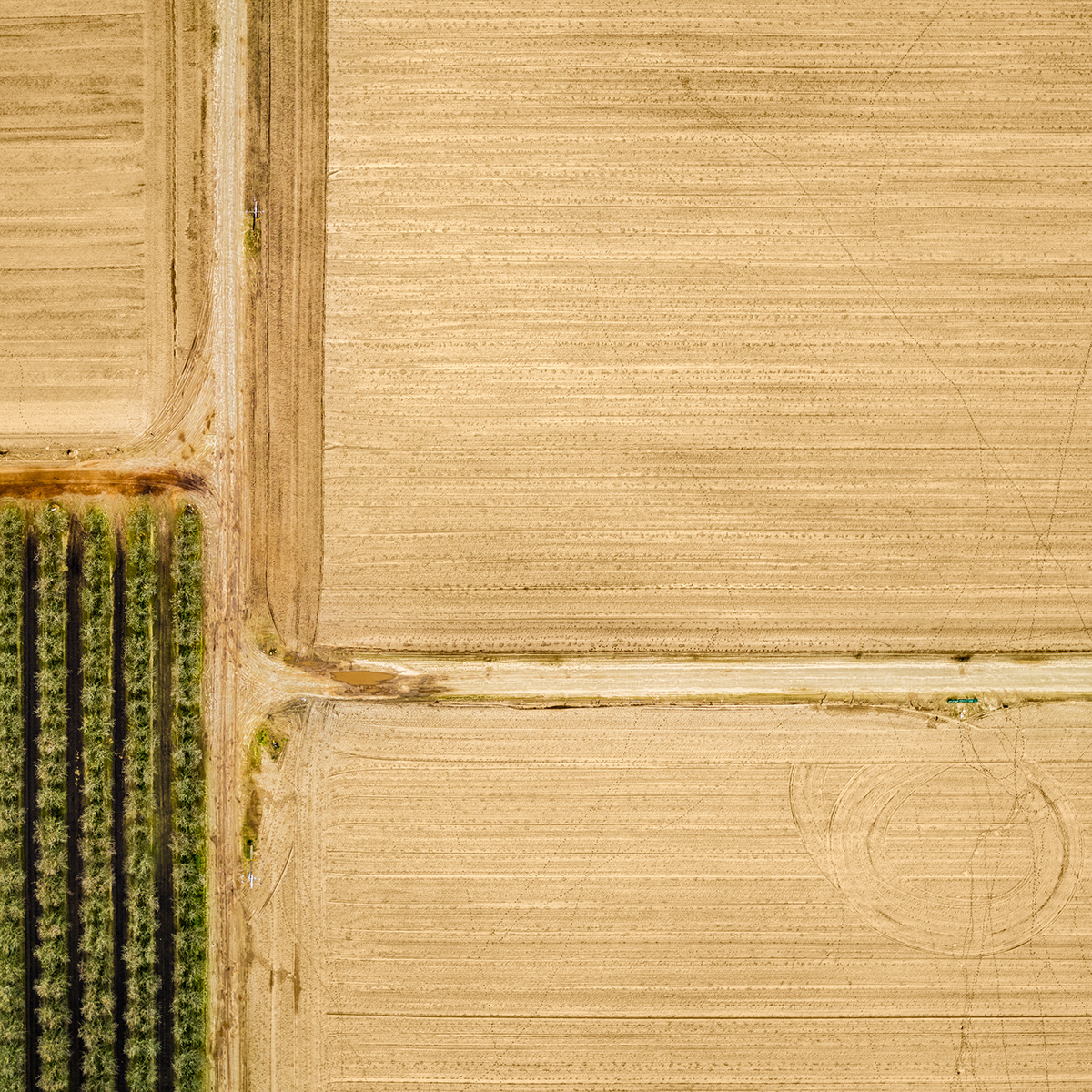 agriculture farm Aerial Photography art land patterns Landscape Beautiful California
