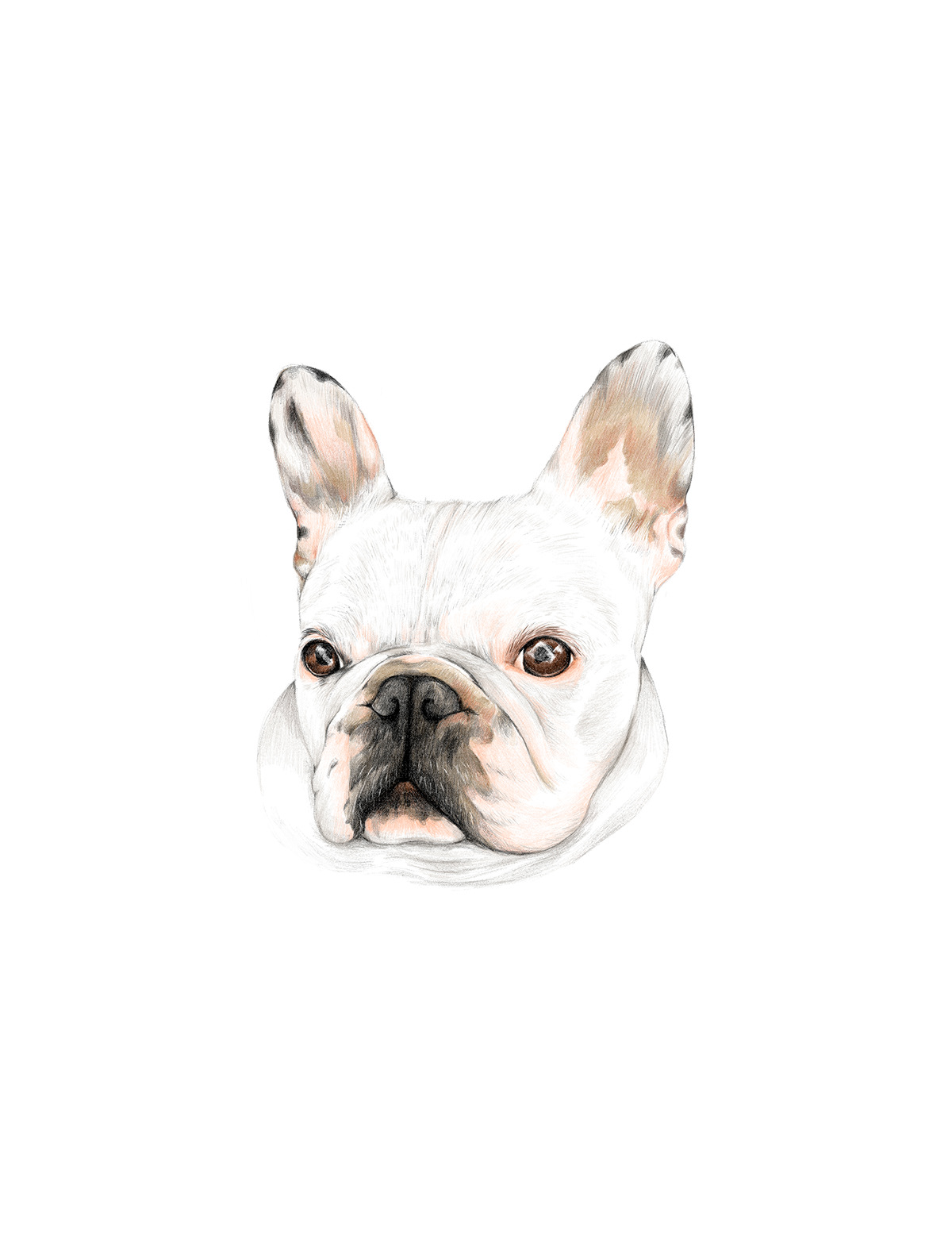 commission dog Love portrait
