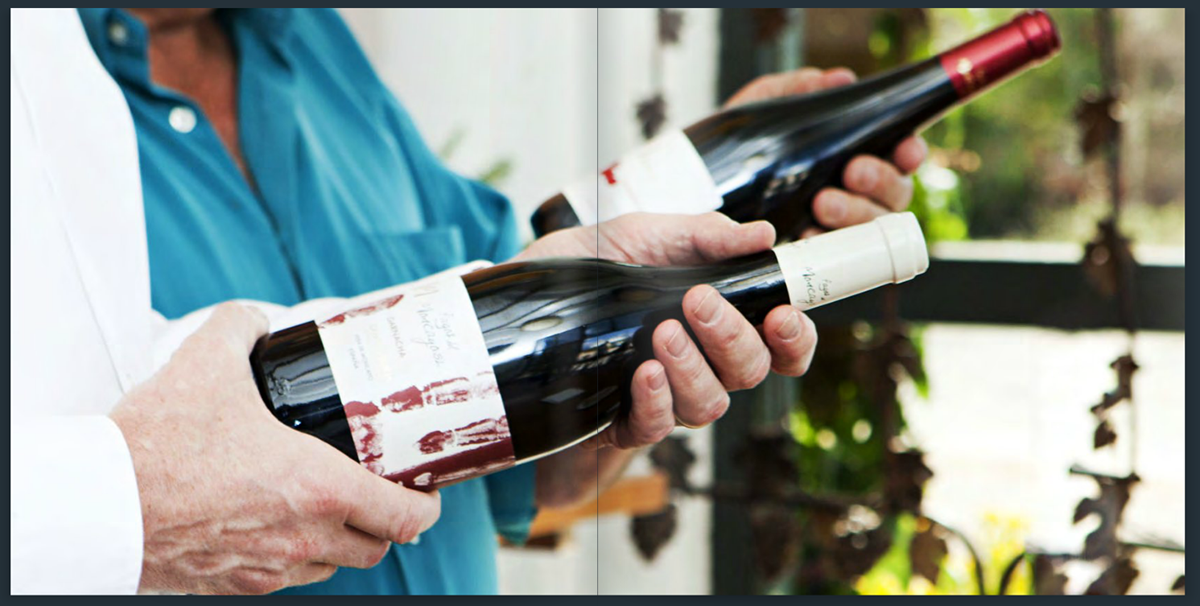 Pagos del Moncayo bodega winery brochure folleto catalogo AXIAL VINOS campo de borja spanish wines vino wine