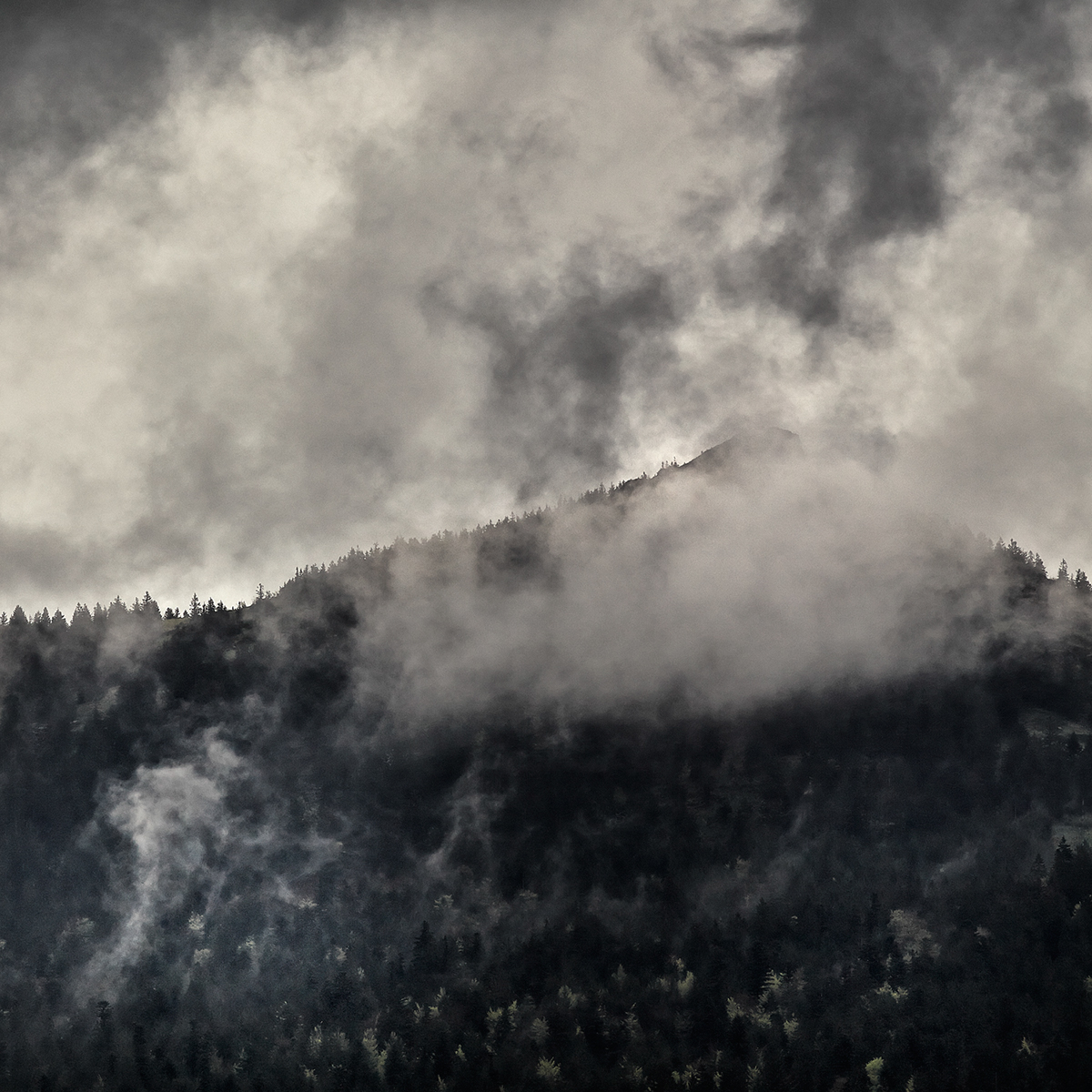 Landscape Nature mountain forest SKY cloud Bavarian Forest bayerischer wald trees jörg marx