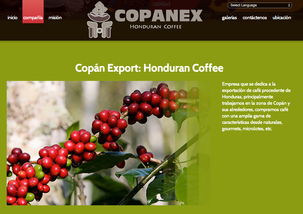 Empresa que se exportación de café procedente de Honduras principalmente trabajamos en la zona de Copán y sus ALREDEDORES compramos café con una amplia gama de características desde naturales gourmets microlotes etc.