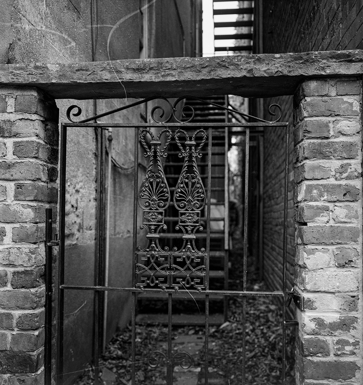 keenan hadley Photography   large format  4x5 black and white black & white blackandwhite