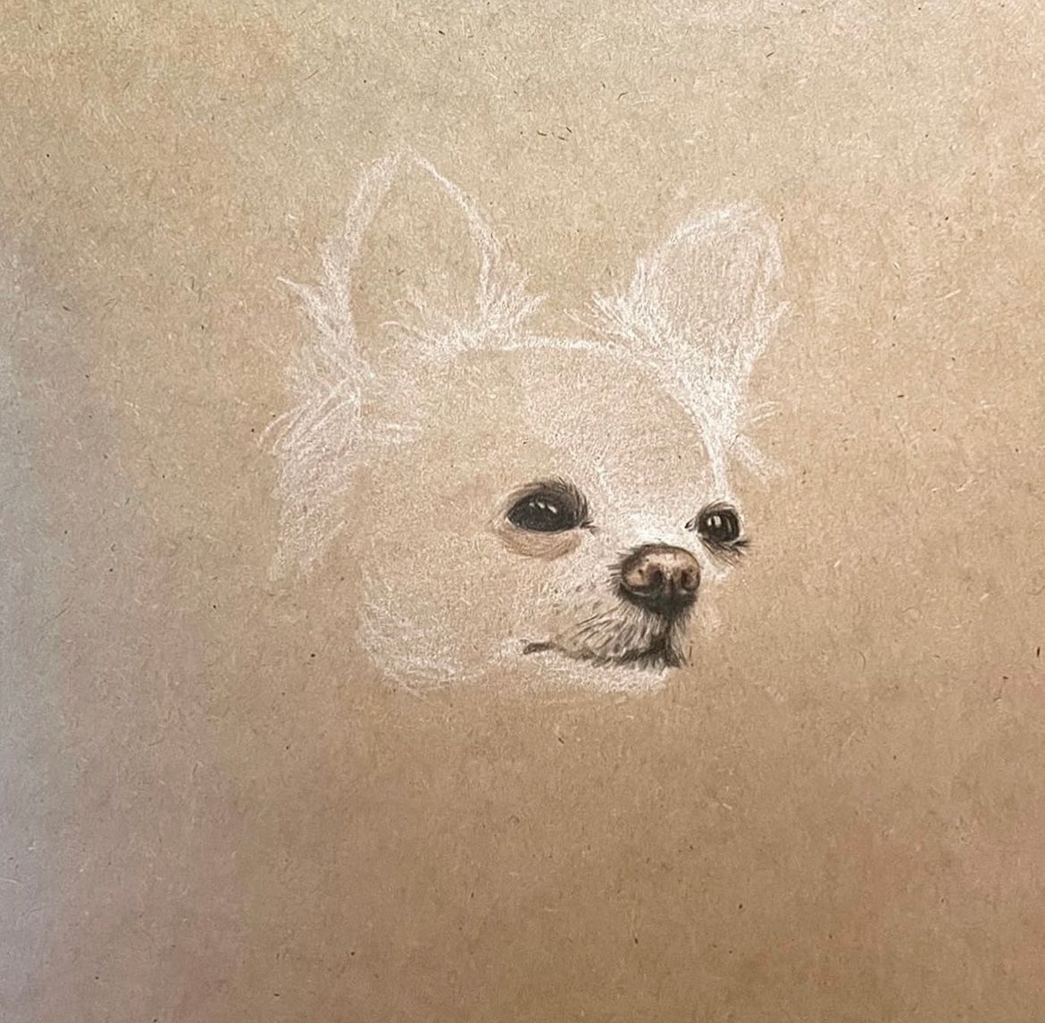 art dog Drawing  Pencil drawing portrait