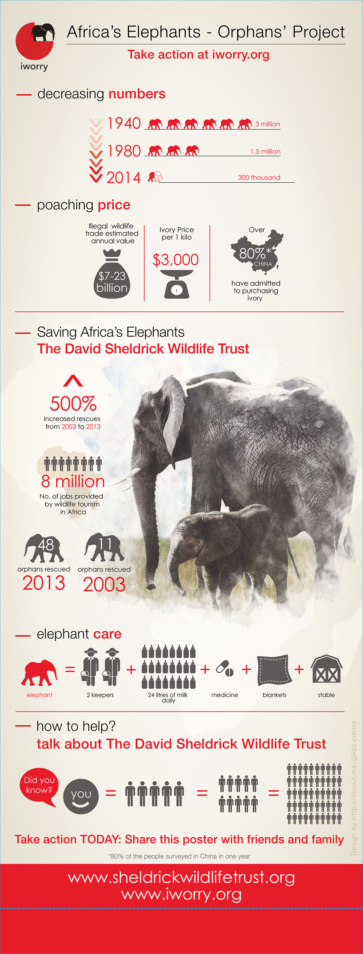 infographic design elephant non profit organization volunteer africa