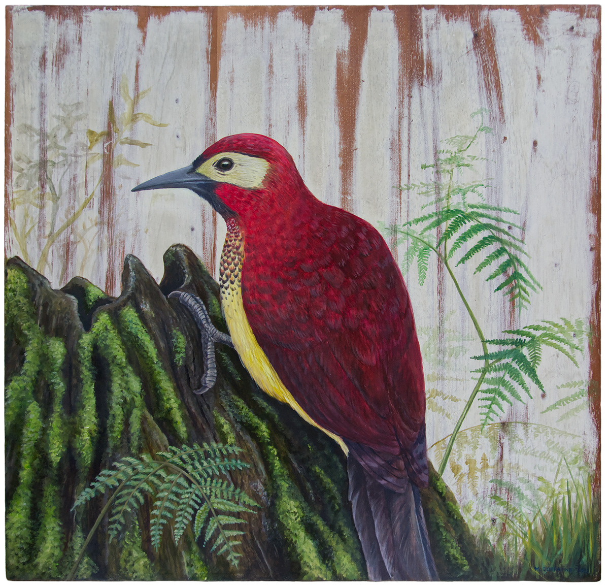 acrilico acrylic aves birds colombia artist painting   wildlife
