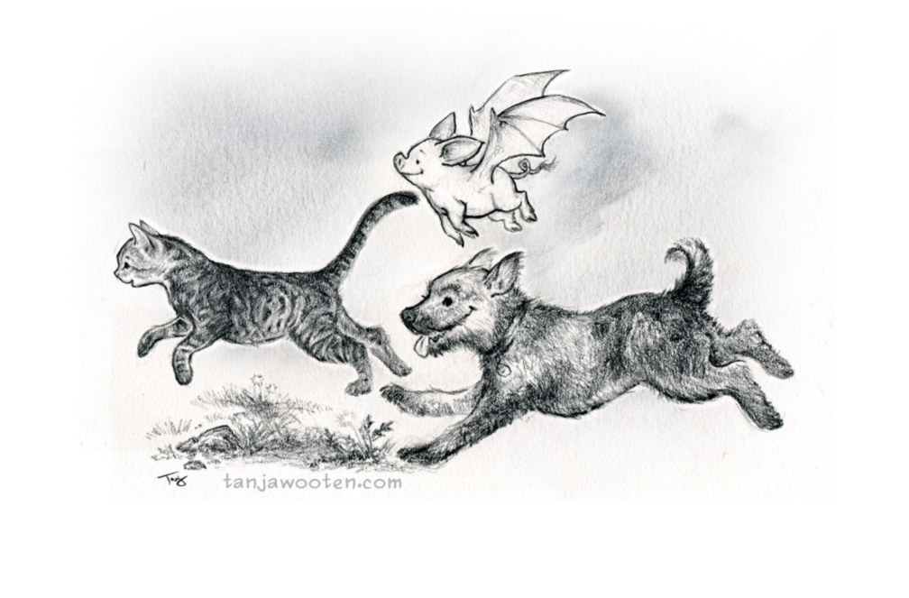 ILLUSTRATION  Drawing  pencil dog Cat flying pig