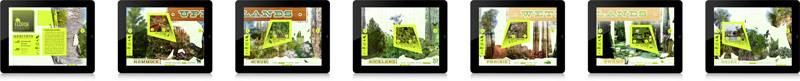 how  to identify florida plants Website interactive iPad
